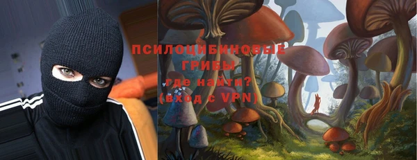 дживик Михайловск