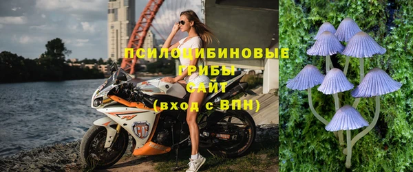 дживик Михайловск