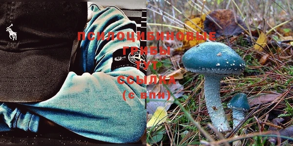 крисы Михайлов