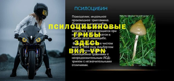 дживик Михайловск