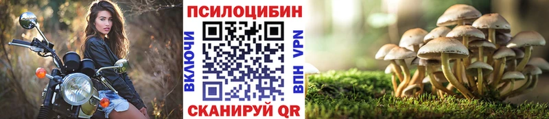 Купить  Кемерово  Псилоцибиновые грибы MAGIC MUSHROOMS 